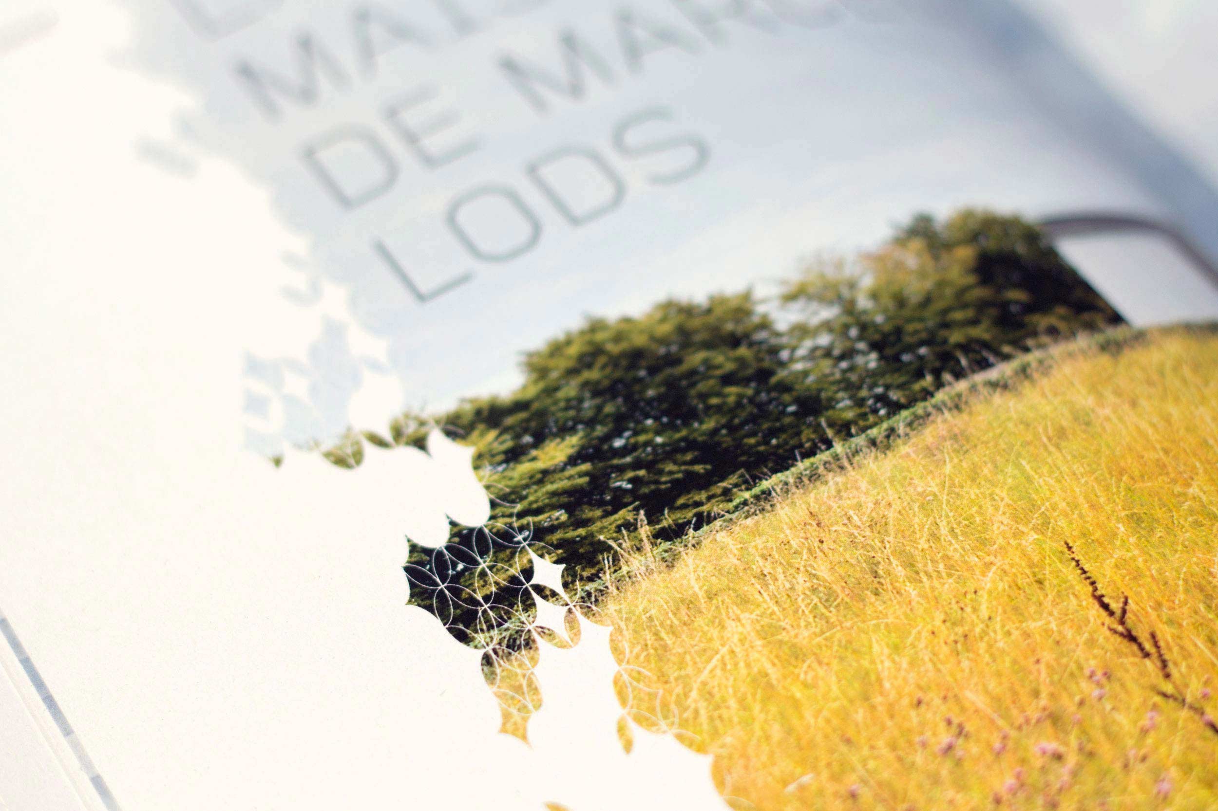 Exe Magazine – Identité et direction artistique