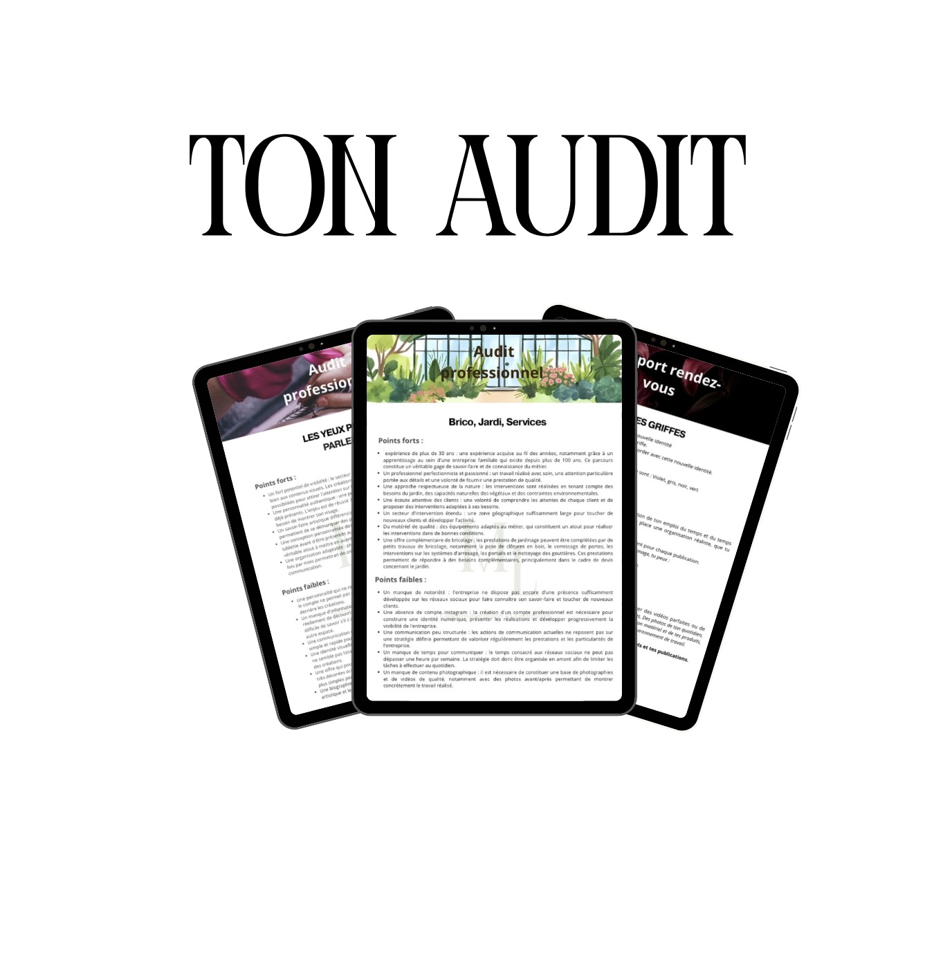 Audit 