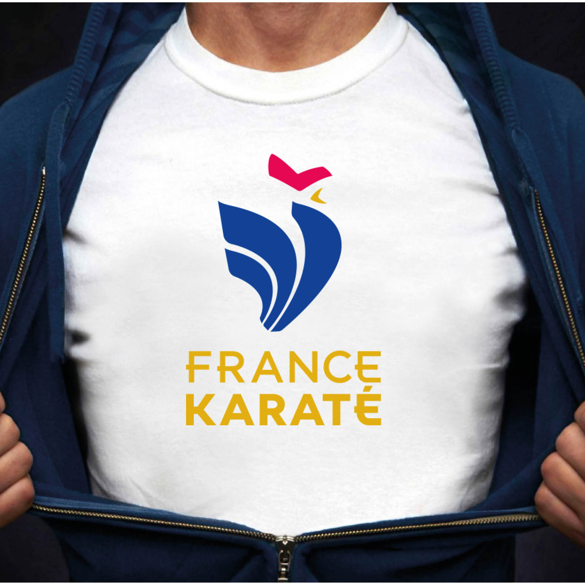 France Karaté - Logotype